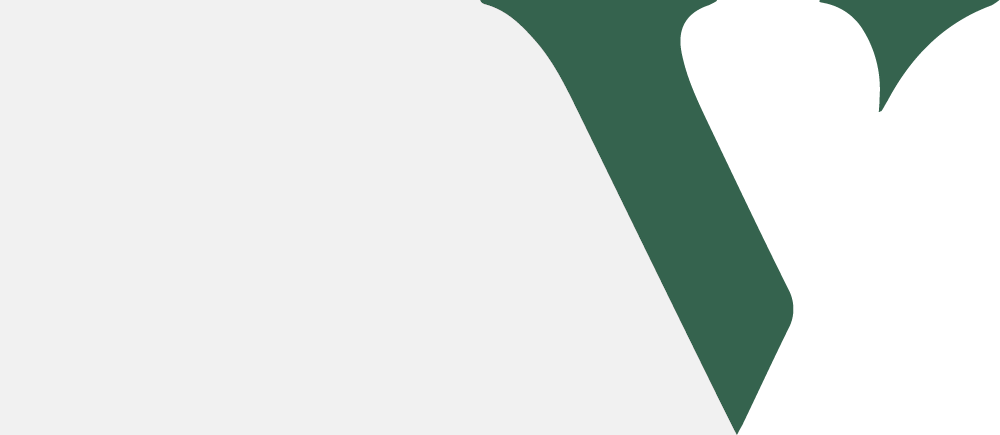 V-Check Icon