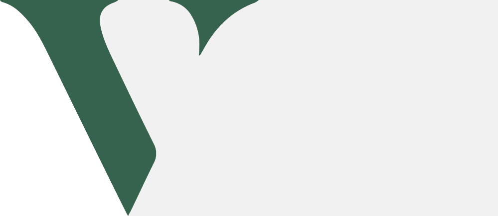 V-Check Icon