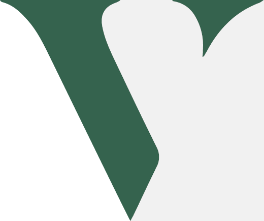 V-Check Icon