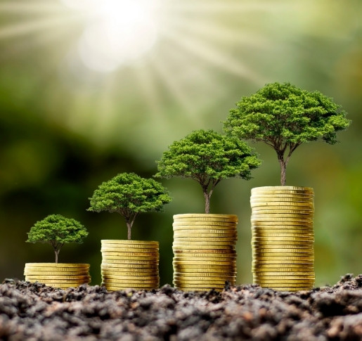 So klappt Nachhaltige Geldanlage mit Fonds und ETFs