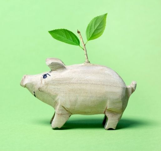 ESG-Investments: Als Anleger unseren Planeten retten