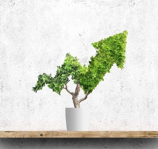 Nachhaltig investieren: So finden Anleger die richtigen Fonds
