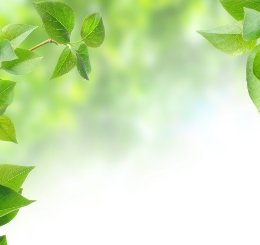 „So mancher Nachhaltigkeits-ETF ist ein Greenwashing-Placebo“
