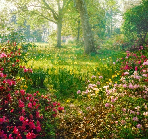 Garten und Portfolio: Beide erfordern Gleichmut, Geduld und Geschick