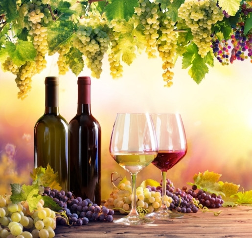 Statt Geld anlegen lieber Wein kaufen?