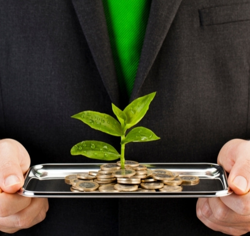 Greenwashing: “Die Transparenz der Anlagestrategie ist wichtig”