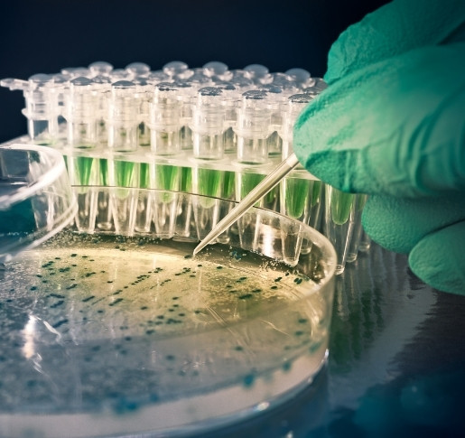 Pharmaaktien: Zukunftsorientierte Anleger kommen an der Gesundheitsbranche nicht vorbei.