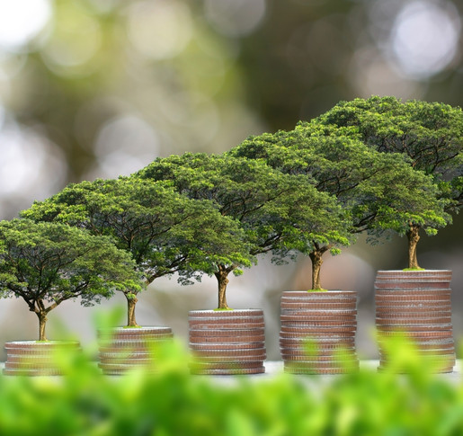 Das Ideale ESG-Fonds-Portfolio