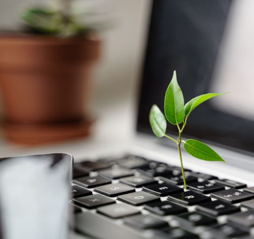 Greenwashing in der Finanzbranche –                 Der DWS-Skandal