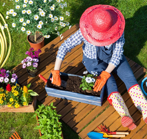 Gardening – Entspannt Rendite anbauen