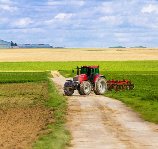 Geldanlage Landwirtschaft – Gegessen wird immer