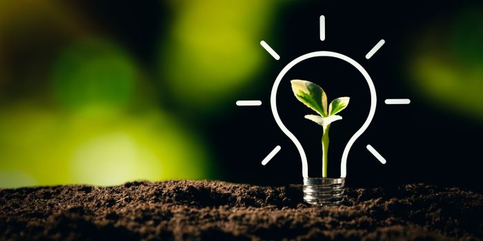 GreenTech nimmt jetzt richtig Fahrt auf