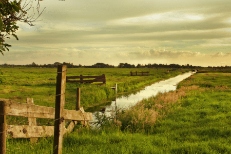 Vermachtes Ackerland und Co.: Was tun mit Feld-, Wald- und Wiese-Erbschaften?
