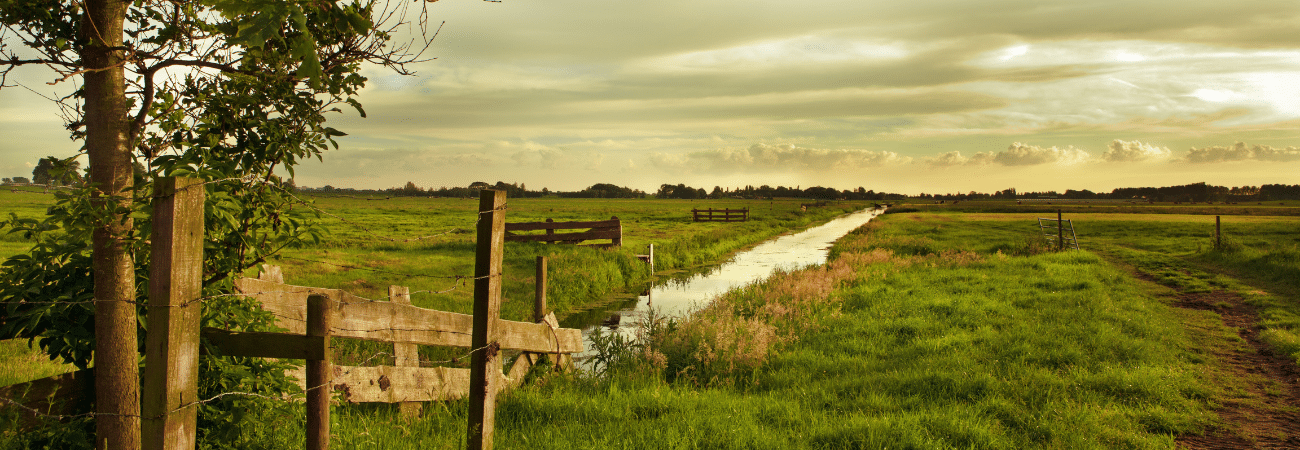 Vermachtes Ackerland und Co.: Was tun mit Feld-, Wald- und Wiese-Erbschaften?