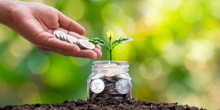 Wohin mit dem Geld? – Plötzlich reich!