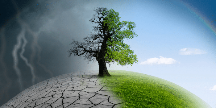 Der Klimawandel als Rendite-Killer: Haben ESG & Co. noch Zukunft?