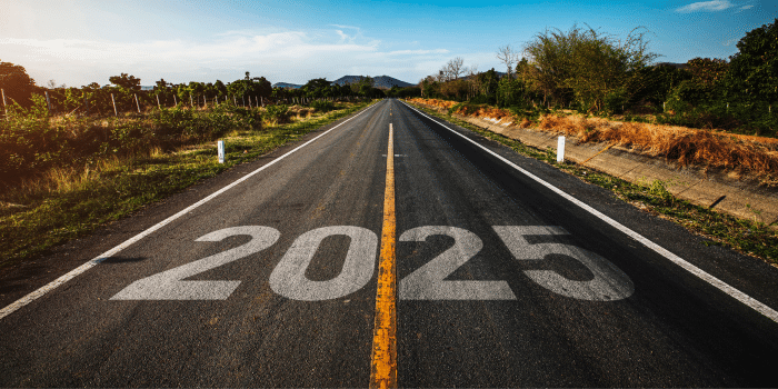 Ideendienst für Geldanleger – Ausgabe Januar 2025