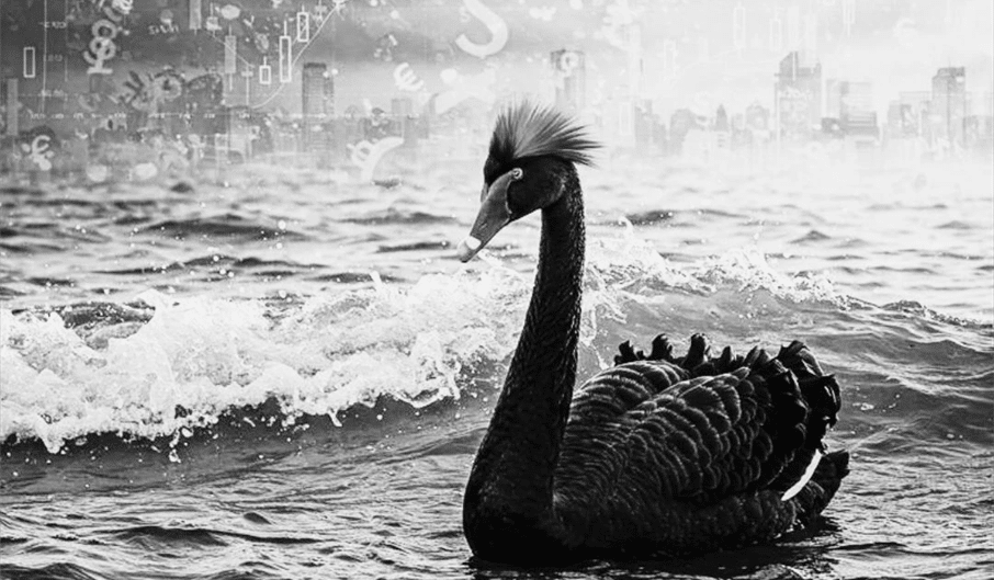 Ein Schwarzer Schwan namens Donald