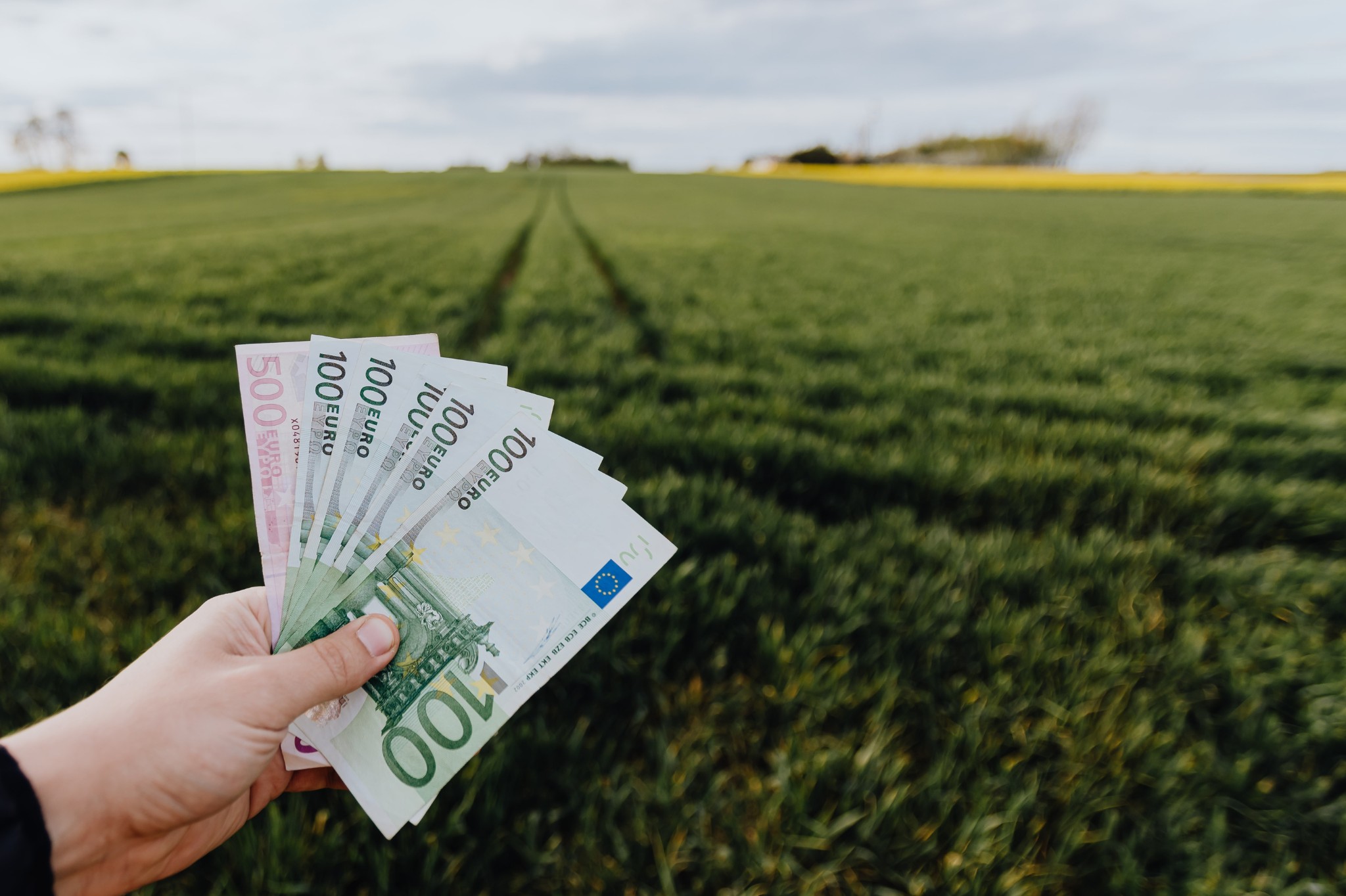 Geld anlegen in Wald, Feld und Wiese – Chancen, Grenzen und sinnvolle Ergänzungen im Vermögensportfolio