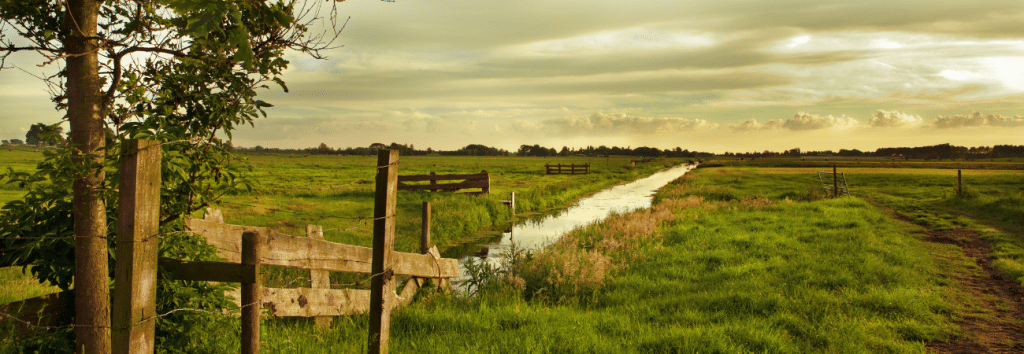 Vermachtes Ackerland und Co.: Was tun mit Feld-, Wald- und Wiese-Erbschaften?