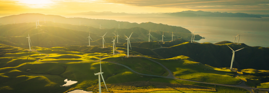Erneuerbare Energien und grüne Technologien: Resilienz für Portfolios