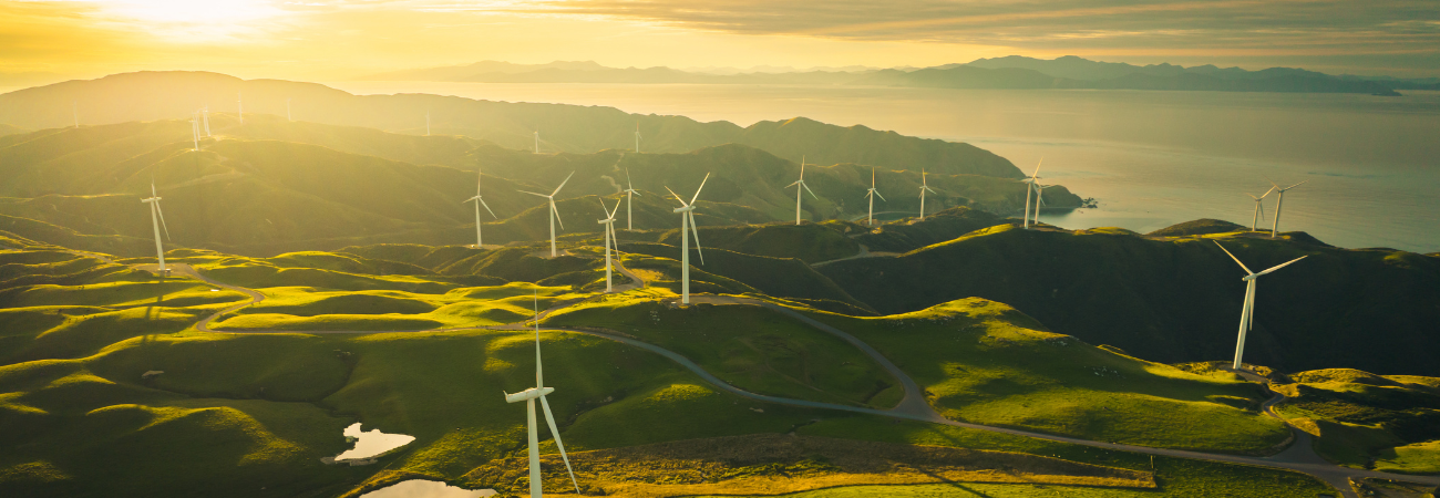 Erneuerbare Energien und grüne Technologien: Resilienz für Portfolios