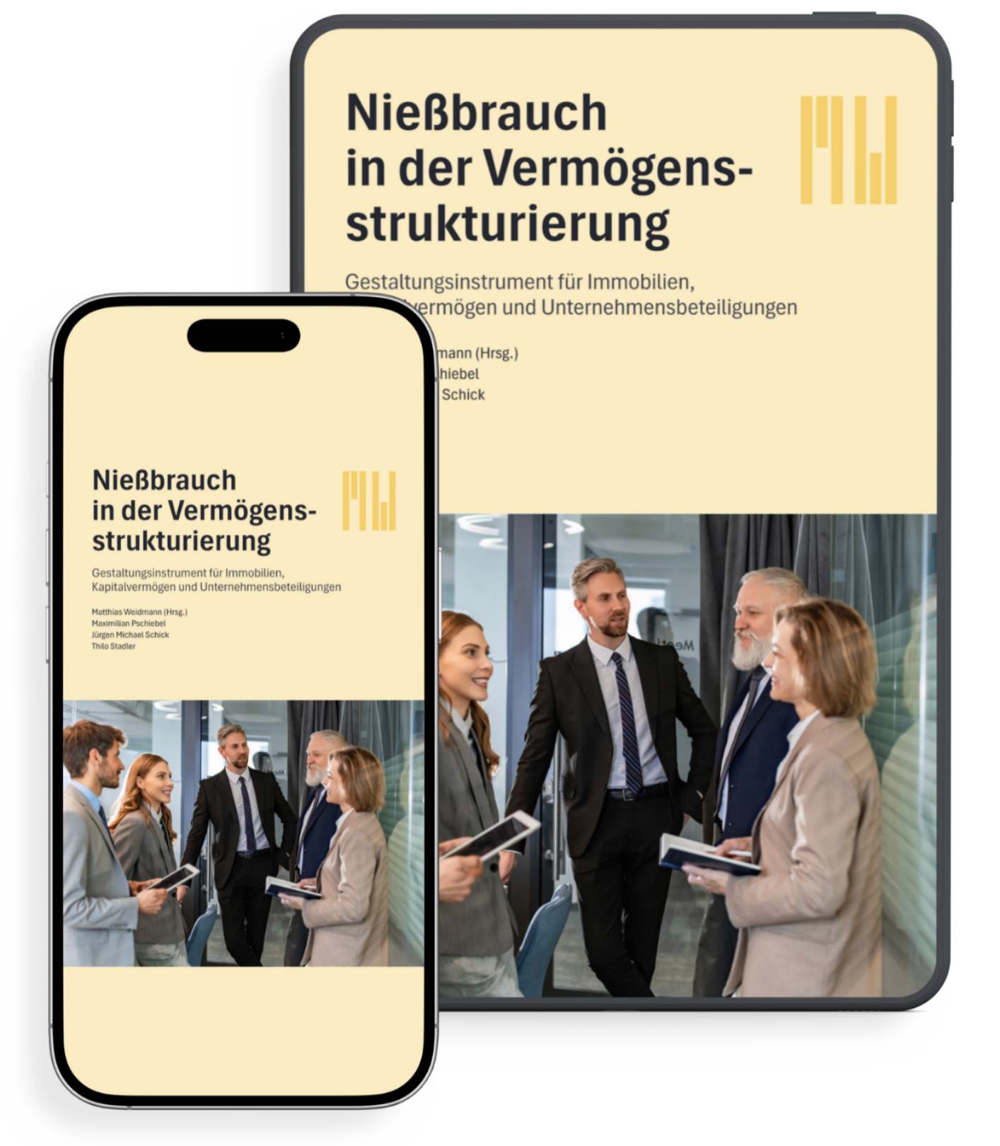 nießbrauch in der vermögenssturkturierung ebook cover (1)